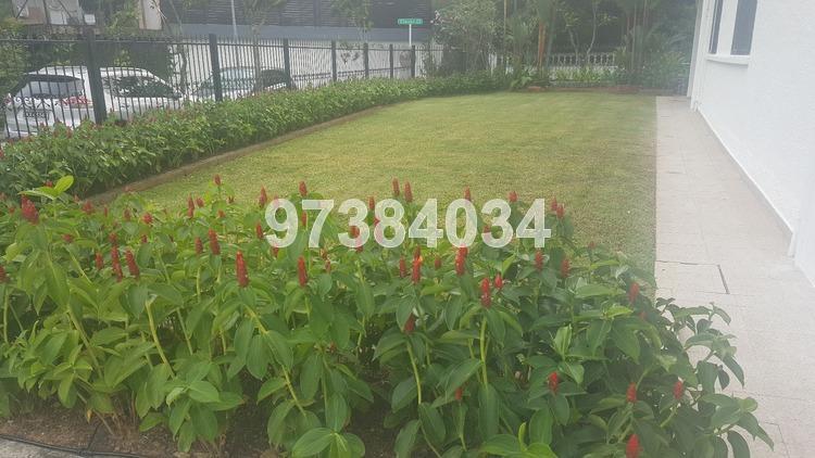 Clover Park thumbnail photo